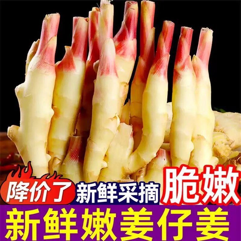 26年嫩姜仔姜新鲜子姜鲜姜醋泡姜红芽姜当季蔬菜农家自种黄姜批发