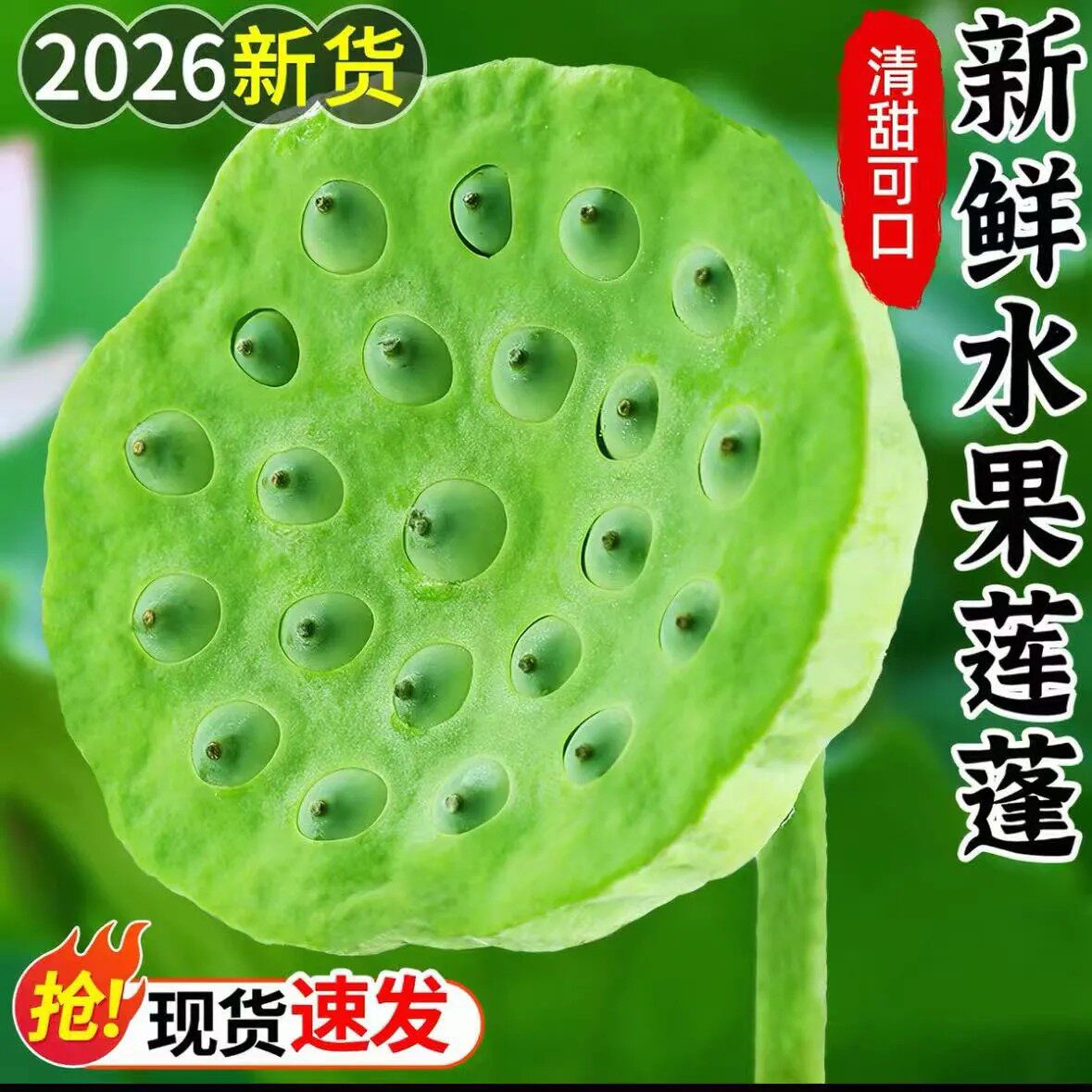 水果莲蓬新鲜当季莲子应季生吃嫩莲蓬孕妇小孩子水果特级绿色即食