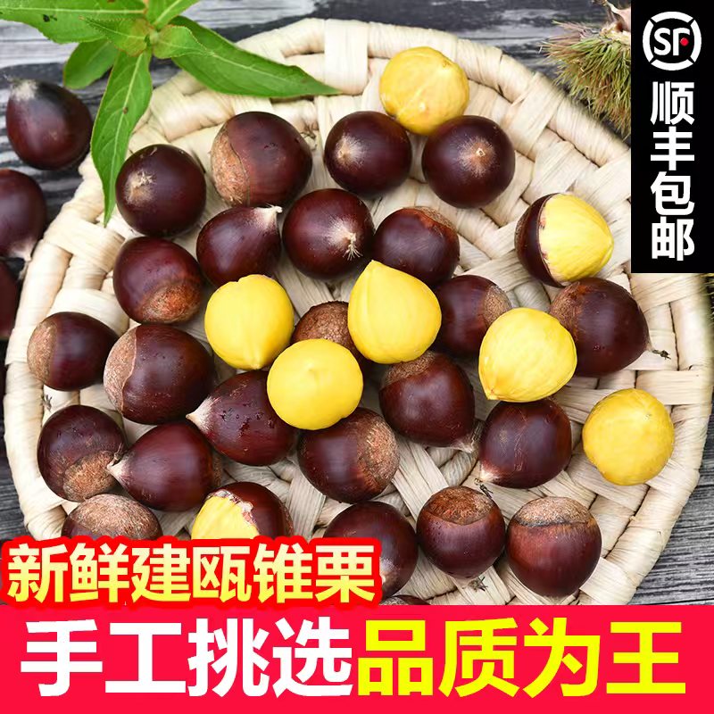 【顺丰包邮】建瓯圆锥栗福建新鲜锥形栗农家高山现摘带壳毛栗子