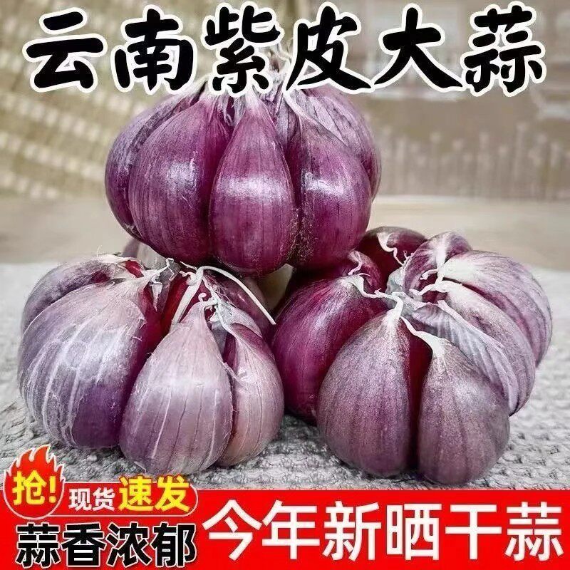 【2026年云南新干蒜】云南紫皮蒜红皮大蒜当季新干自然晒干包邮
