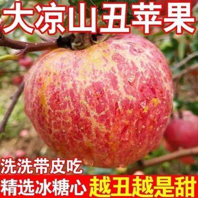 【彩箱包装】2025年新鲜大凉山冰糖心丑苹果红富士平果孕妇水果