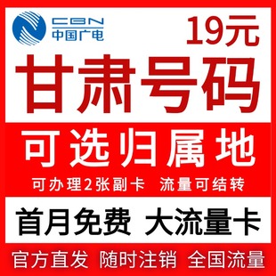 甘肃归属地天水武威张掖平凉酒泉庆阳定西陇南流量卡电话卡手机卡
