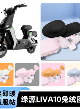 适用绿源Liva10电瓶电动车冬座套坐垫套座位防雨罩防水防晒饰配件