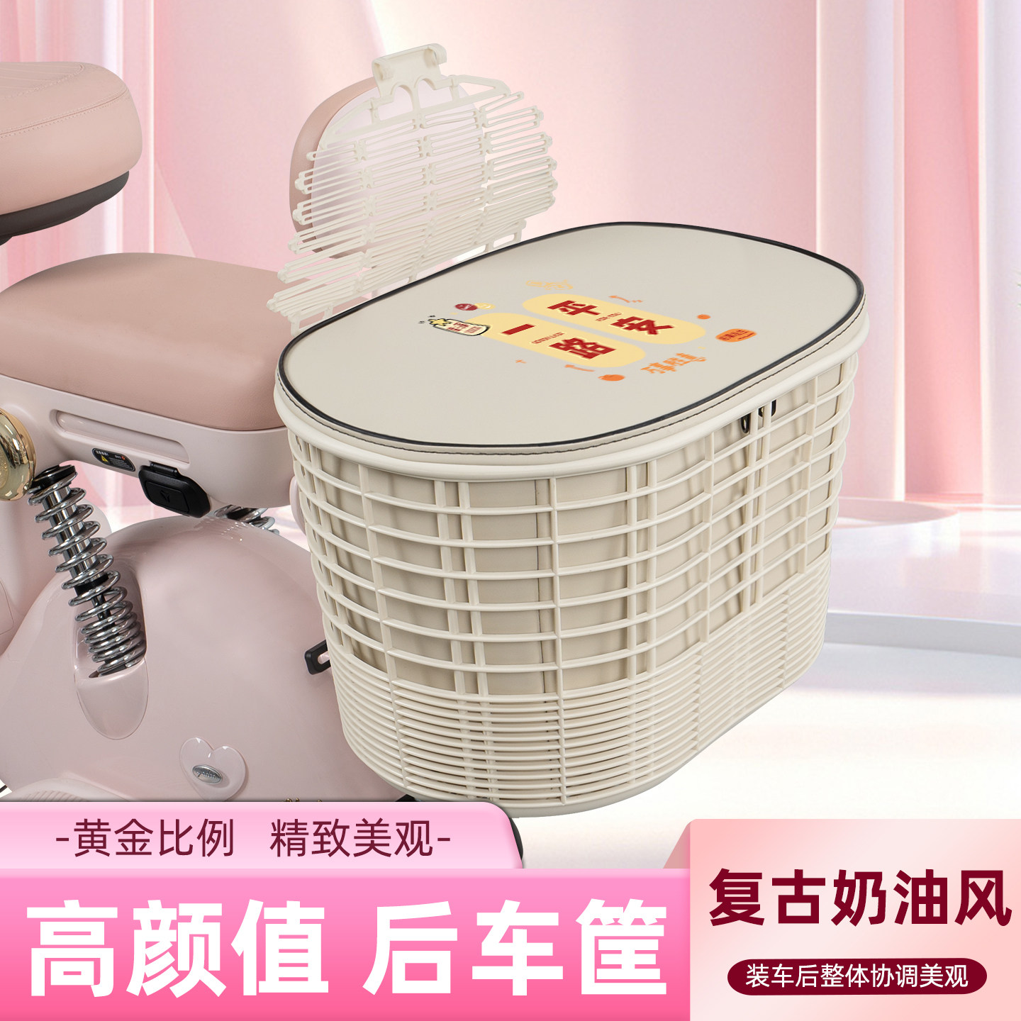 电瓶电动车专用后置车筐图片