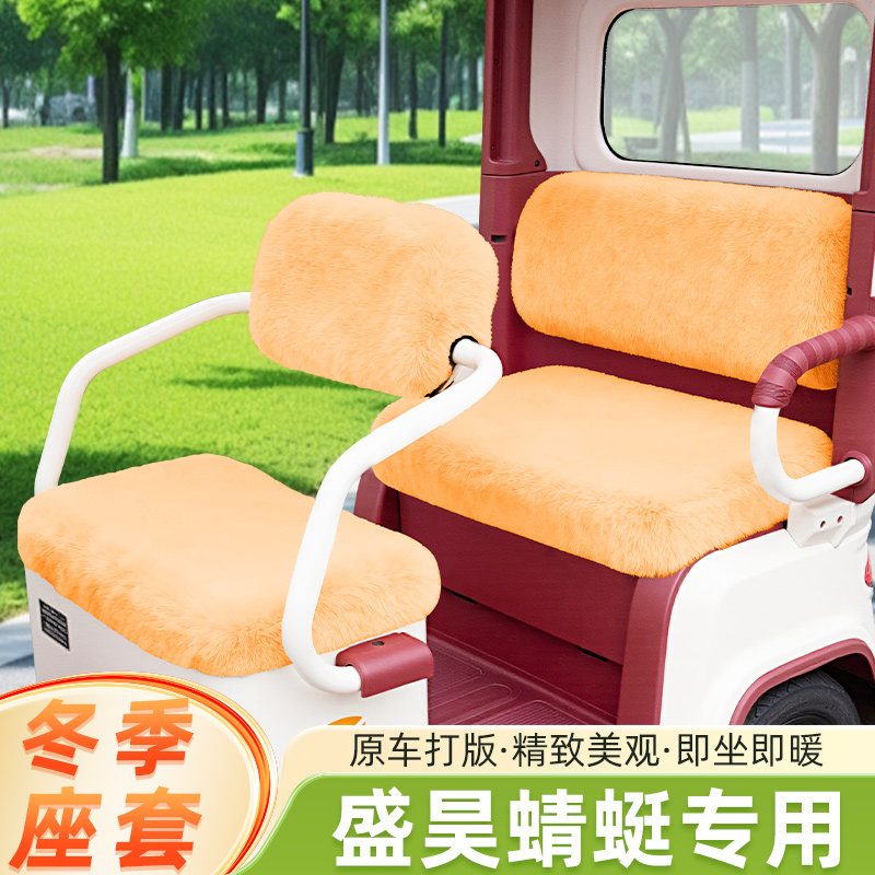 盛昊蜻蜓电动三轮车专用冬季坐垫套脚垫脚踏板储物置物箱座套配件