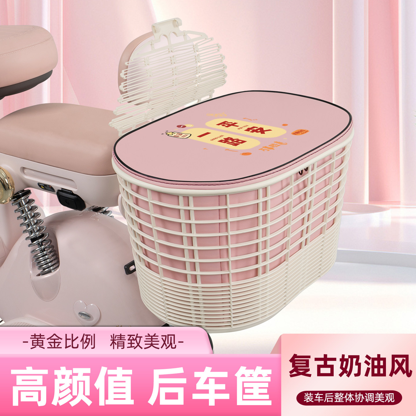 电瓶电动车专用后置车筐图片