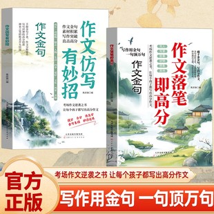 抖音同款 考场作文逆袭 作文仿写有妙招作文落笔即高分 用金句点靓作文 金句积累归类大全写作方法技巧提分 一句顶万句