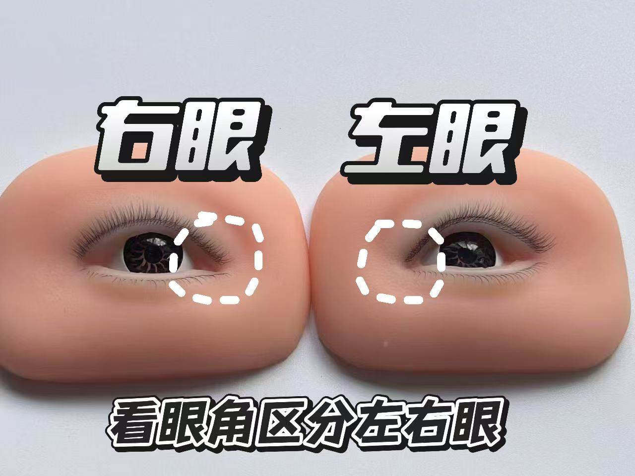 假睫毛嫁接练习模块适合专业美睫师打版练习,可反复使用便携实惠