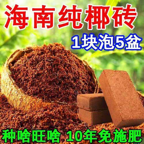 椰砖营养土通用高泡发无菌抗虫