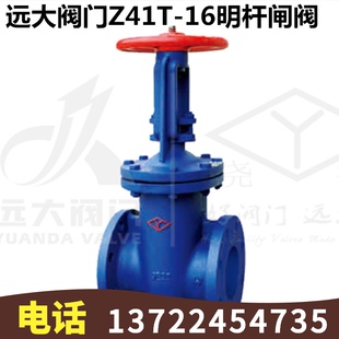 DN600 河北远大阀门Z41T 16铸铁法兰手动明杆楔式 铜芯闸阀DN40