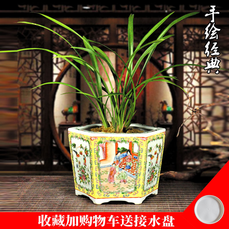 花钵景德镇陶瓷花盆树盆手绘粉彩六方新中式兰花盆人物花鸟室内清