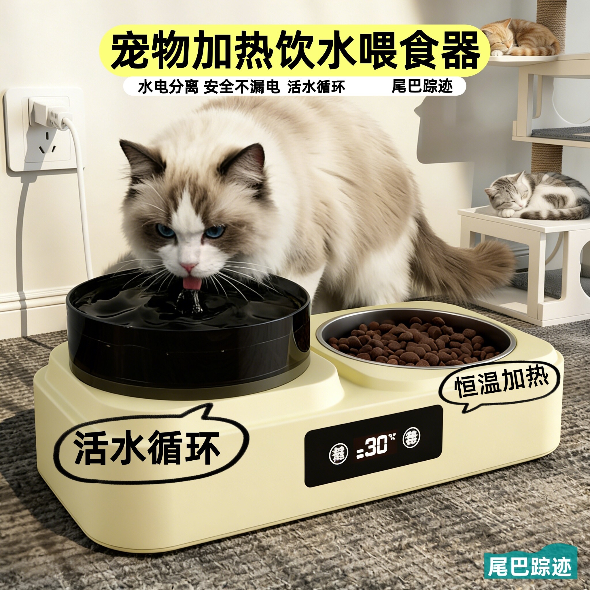 【猫咪也能喝上温水】猫咪恒温饮水机冬季保暖水电分离狗加热饮水