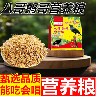 八哥饲料鸟饲料鸟食鹩哥鸟食饲料袋装八哥鸟食开口学说话八哥鸟食