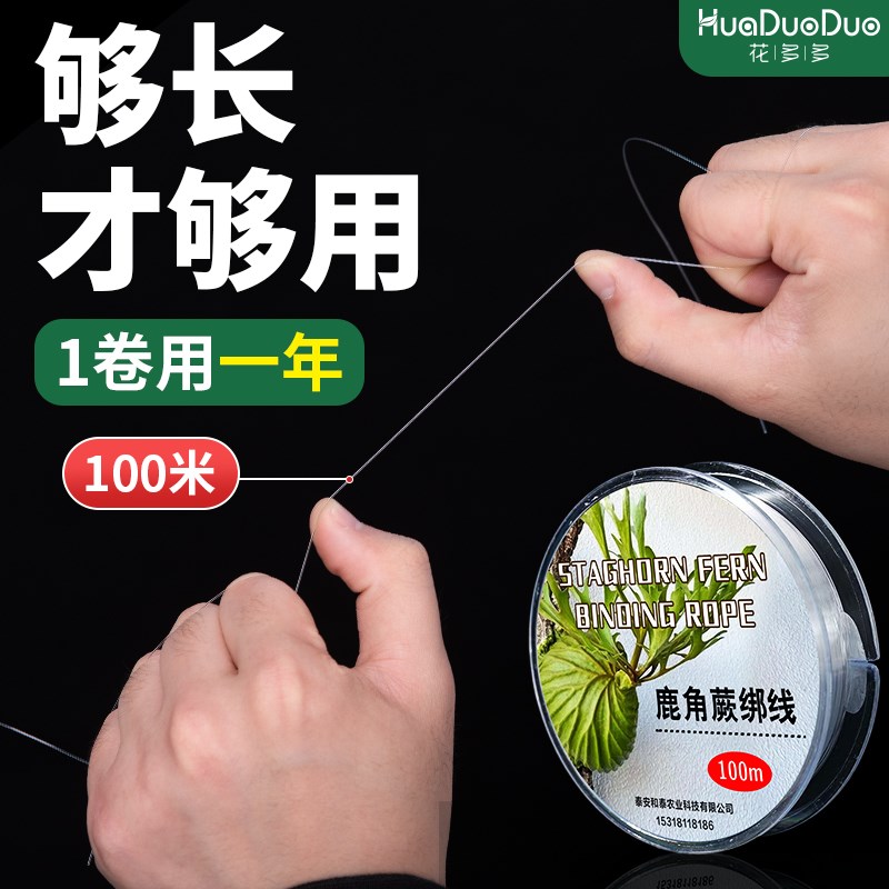尼龙线鱼线鹿角蕨上板线板植轮胎线线透明水晶鱼线上板材料DIY