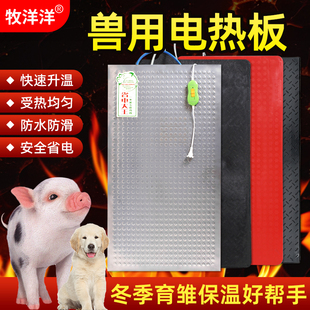 仔猪电热板兽用加热板小猪养殖场橡胶加厚保温板不锈钢发热电热板
