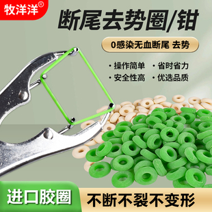 断尾圈羊用断尾钳羊羔去势圈钳子猪去势钳神器皮筋胶圈羔羊断尾器