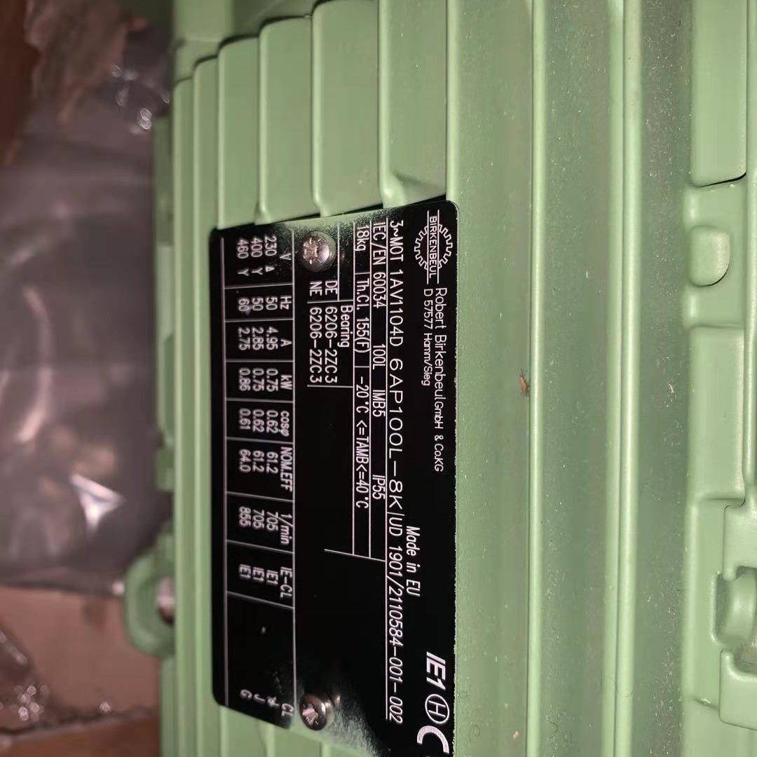 销售BIRENBEUL电机德国BIRENBEUL马达6APE100L-4