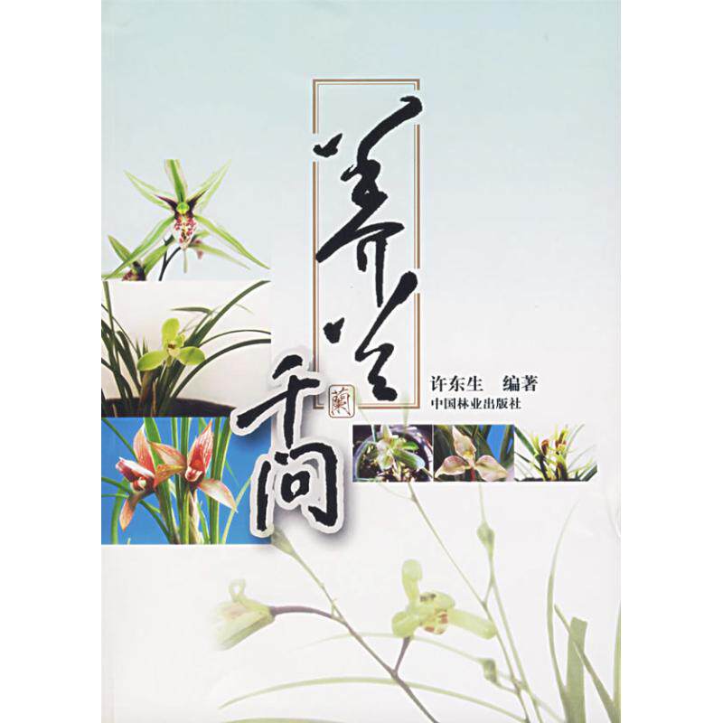 正版新书 养兰千问 许东生 编著 著 著 中国林业出版社