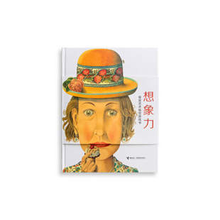 罗辑思维 英 诺曼·梅辛杰 正版 接力出版 想象力：艺术视觉游戏书 董海雅 社 新书
