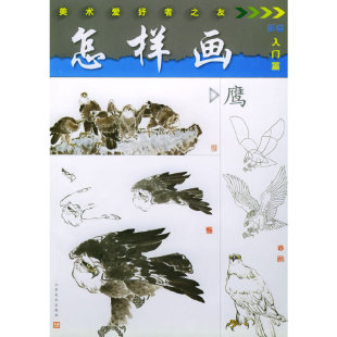 江苏美术出版 正版 顾青蛟 怎样画鹰——美术爱好者之友 社 新书
