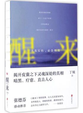 正版新书 醒来：凡真实的必会相遇 丁锐 北京联合出版公司