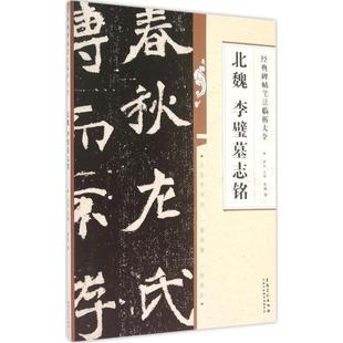 正版新书 北魏李璧墓志铭 李钢 安徽美术出版社