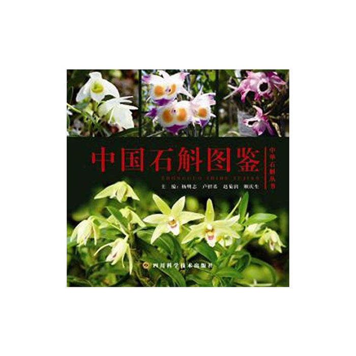 正版新书 中国石斛图鉴 杨明志 四川科学技术出版社