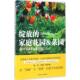 煤炭工业出版 正版 社 家庭花园&菜园 难波光江 新书 绽放