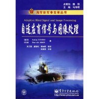 正版新书 自适应盲信号与图像处理 西考克 电子工业出版社