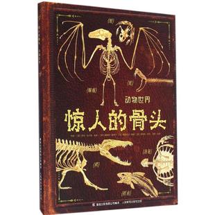 骨头 动物世界 英国ED出版 正版 人民邮电出版 惊人 公司 社 新书