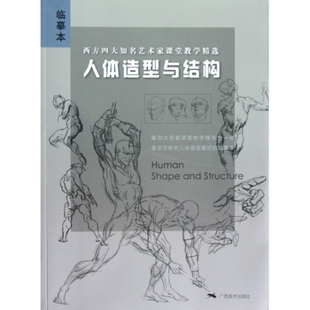 新书 本社 人体造型与结构 西方四大知名艺术家课堂教学精选 广西美术 临摹本 正版