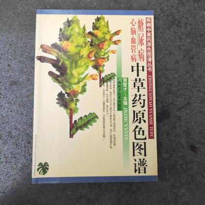正版新书 糖尿病心脑血管病草原色图谱——疾病草原色图谱丛书 黄燮才 广西科学技术出版社