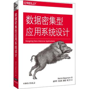 正版新书 数据密集型应用系统设计 马丁·科勒普曼 中国电力出版社