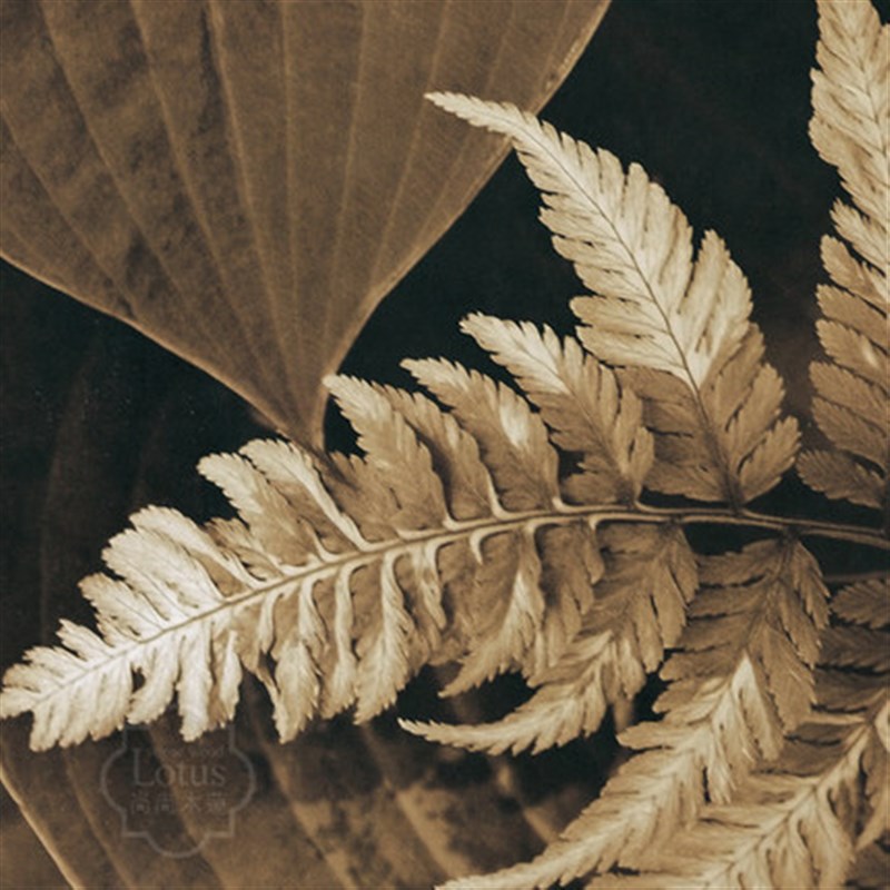 现代简约沙发背景墙画餐厅卧室挂画树叶组合壁画美式客厅装饰画图片