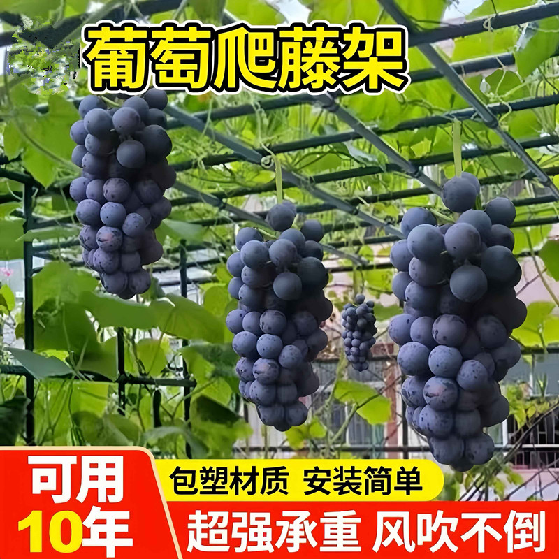 葡萄架子户外室外园艺爬藤架包塑钢管爬藤支架百香果葡萄攀爬架子