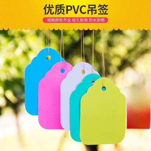 100张PVC彩色塑料植物吊签牌花卉园艺盆栽小挂牌苗木吊牌多肉标签