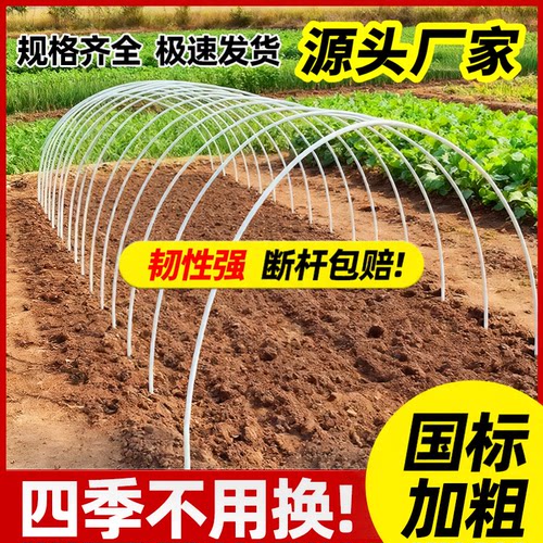 新型实心大棚支架种菜育苗拱棚