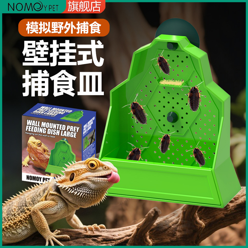 鬃狮蜥食盆爬宠爬缸吸盘挂壁式昆虫攀爬碗守宫变色龙树栖类诱食皿