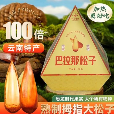 巴拉那松子云南特产新货大颗坚果干果原味休闲零食独立包装80g/盒