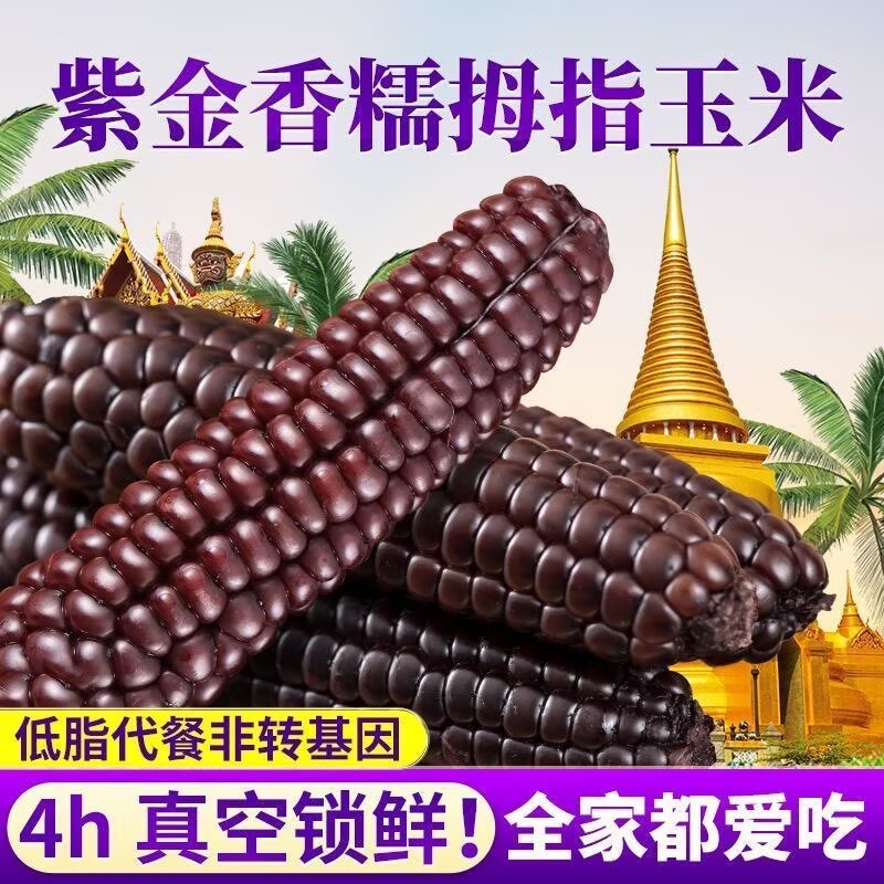 西双版纳紫糯拇指小玉米新鲜孕妇宝宝粗粮无糖精代餐饱腹低卡主食低脂食品低糖减整箱肥脂减脂餐0脂肪0热量零食品减脂餐瘦身燃脂排