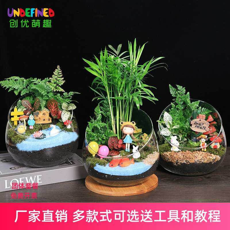 苔藓微景观盆栽绿植diy材料包桌面迷你植物创意玻璃球生态瓶套装