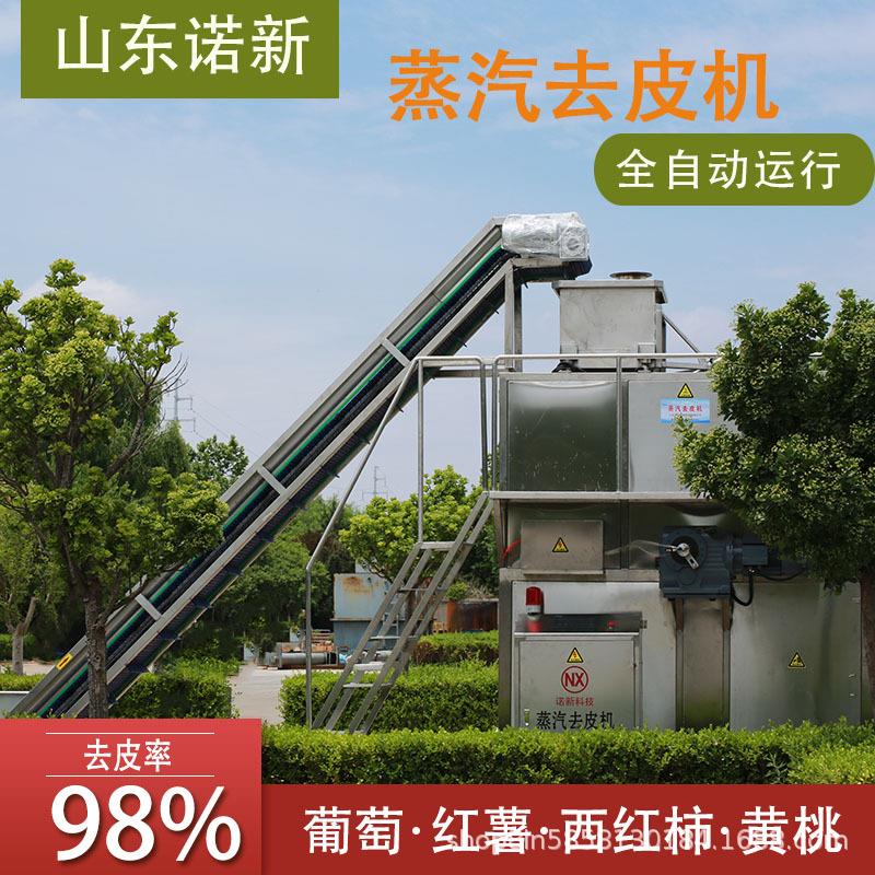 大型商用红薯蒸汽去皮机番茄西红柿物理脱皮机葡萄快速爆皮机