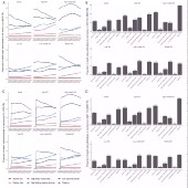 CLIP seq RNA结构预测生信代做RNAfold支持二级结构分析