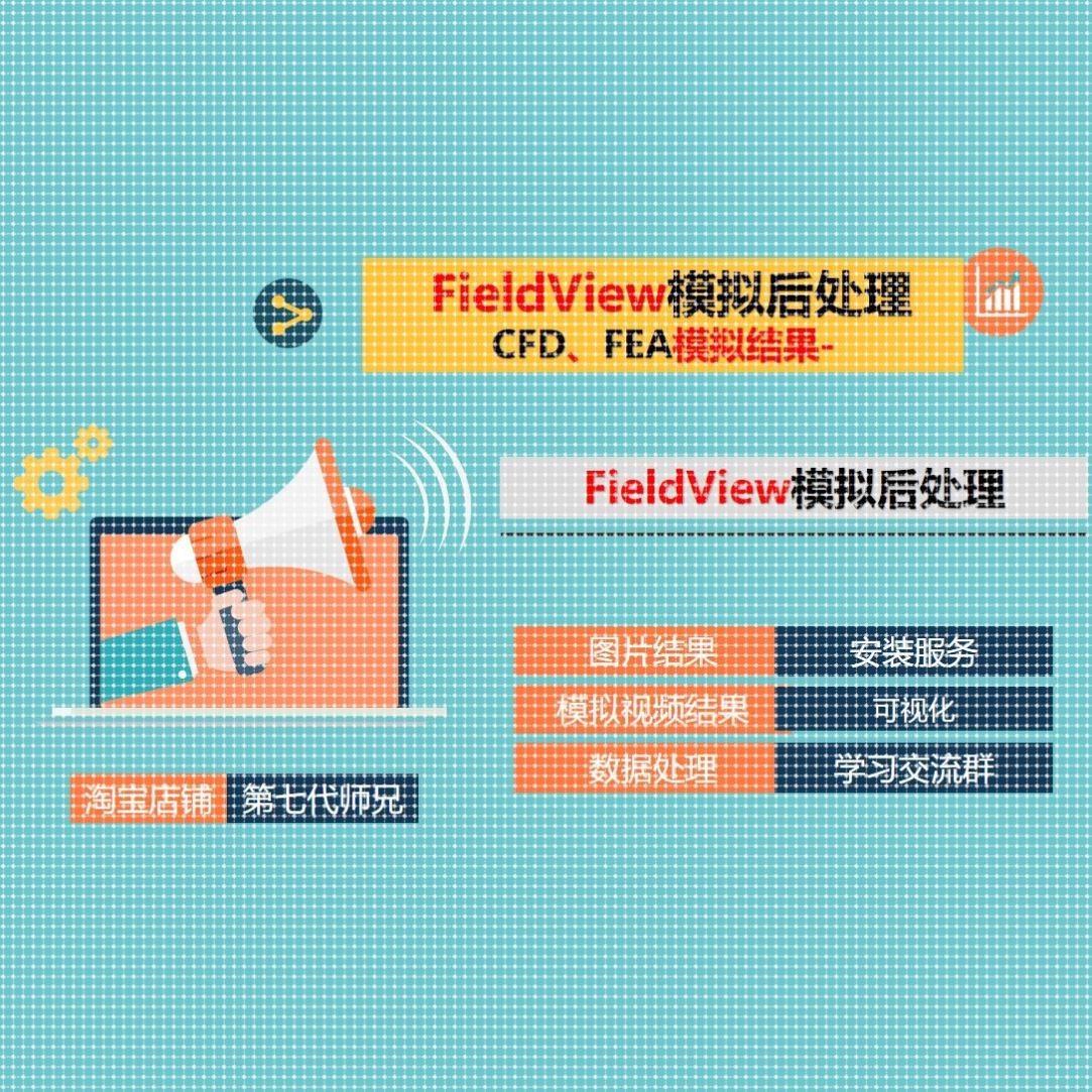 FieldView模拟后处理+安装服务+教程+CFD数据云图fluent结果EFA