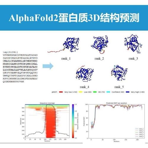 AlphaFold2&3蛋白质3D结构预测/互作预测+作图
