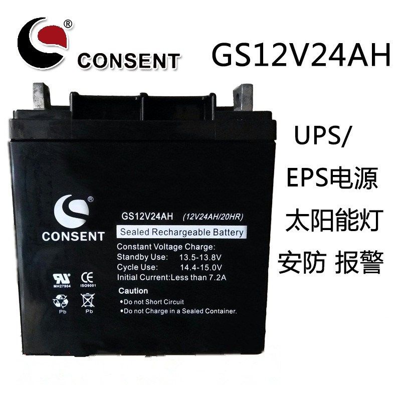 CONSENT光盛蓄电池GS12V5AH7AH9AH12AH17AH24AH38AH65AH100AH200A