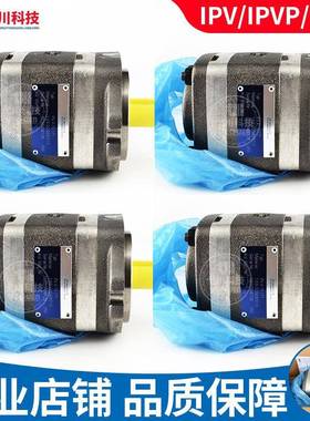 替福伊特齿轮泵IPV/S4/5/6/7-80/100-101内啮合德国voith液压油泵