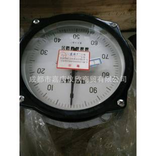 重庆耐德工业仪表LL腰轮罐注机气体汽油柴油流量计