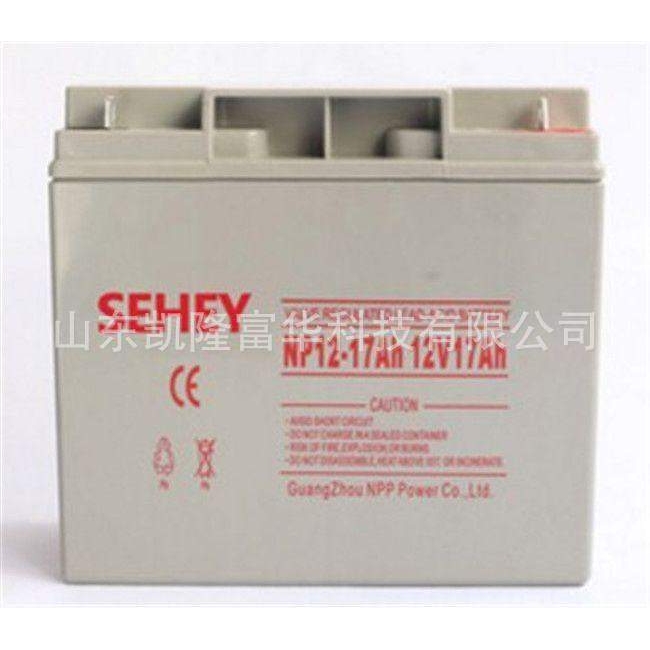 NP12-24SEHEY西力12V24AH铅酸免维护电池直流屏UPS应急电源蓄电池