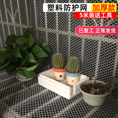 加厚白色网片塑料网封阳台防猫儿童安全防护网防盗窗网垫防坠网格